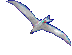 bird.gif (1373 Byte)
