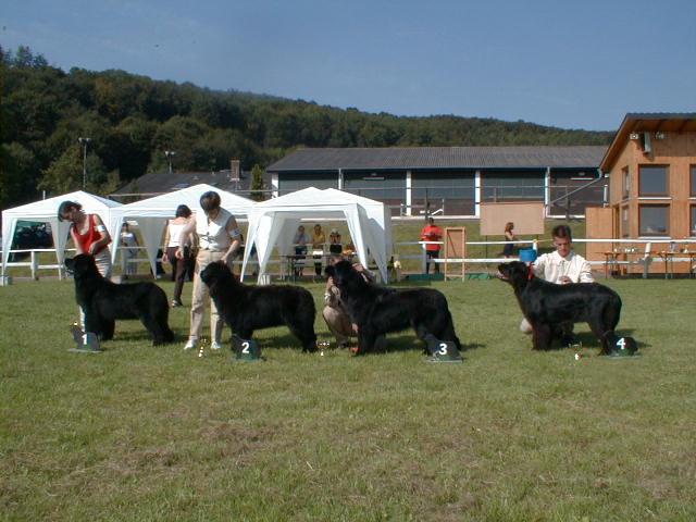 hohenr_jhso.jpg (62037 Byte)