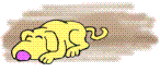 hundefloh.gif (33453 Byte)