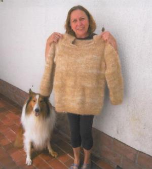 Collie